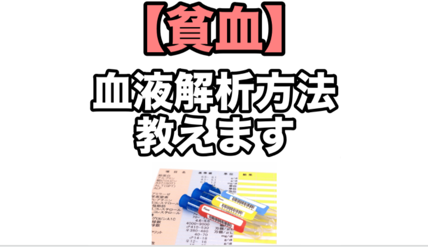 貧血　血液解析方法教えます