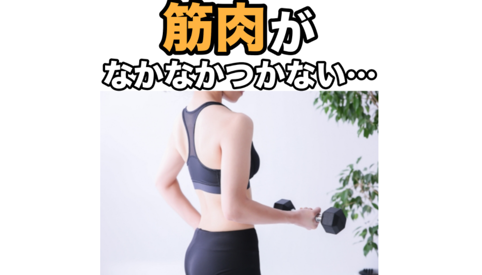 筋肉がなかなかつかない