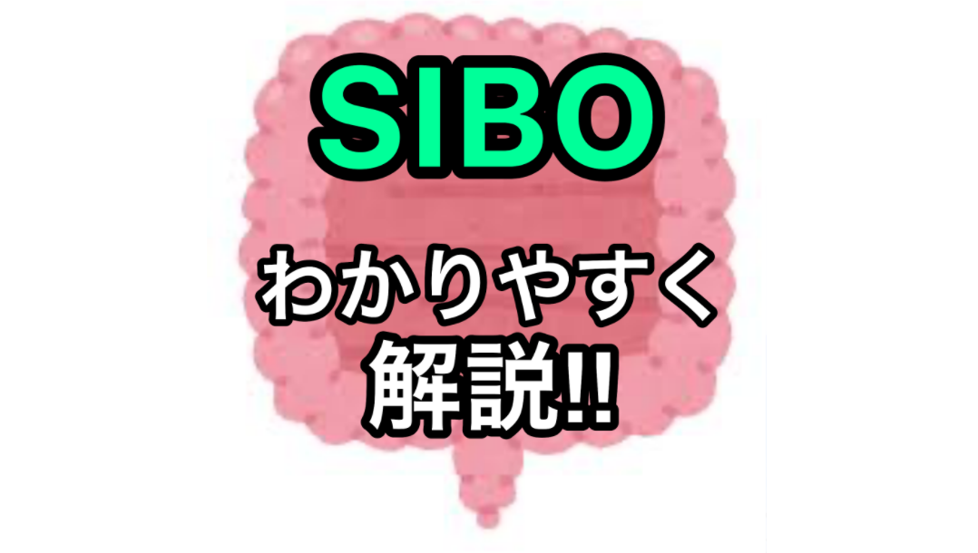 SIBO分かりやすく解説