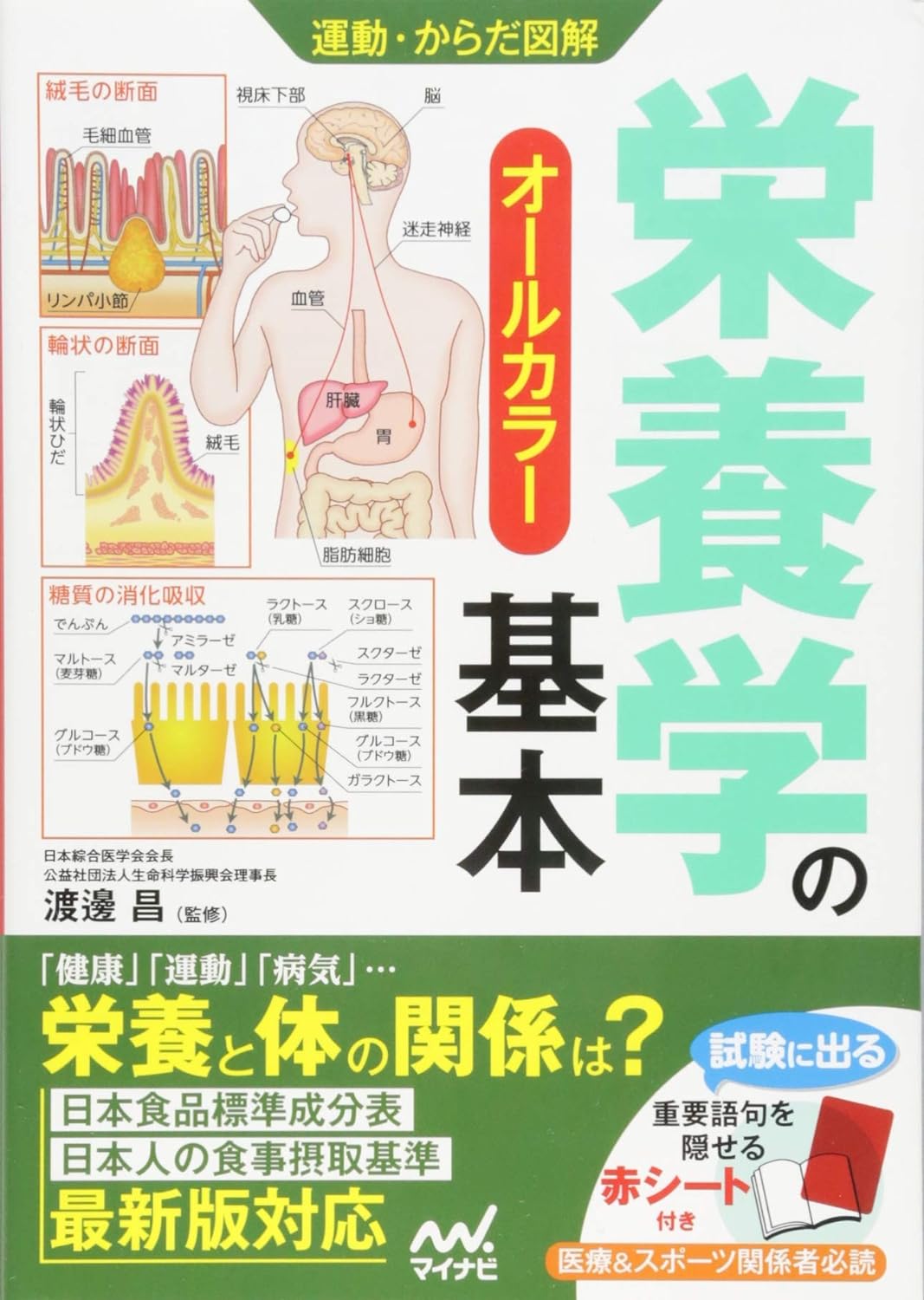栄養学初心者におすすめの本5選！一生ものの知識を身に着ける方法とは