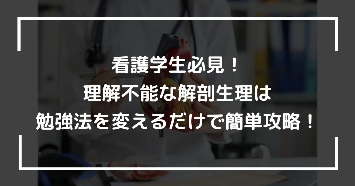 看護学生必見！理解不能な解剖生理は勉強法を変えるだけで簡単