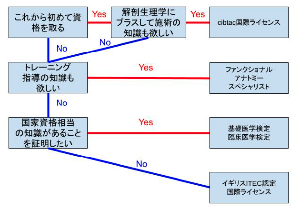 解剖生理学の資格取得フローチャート