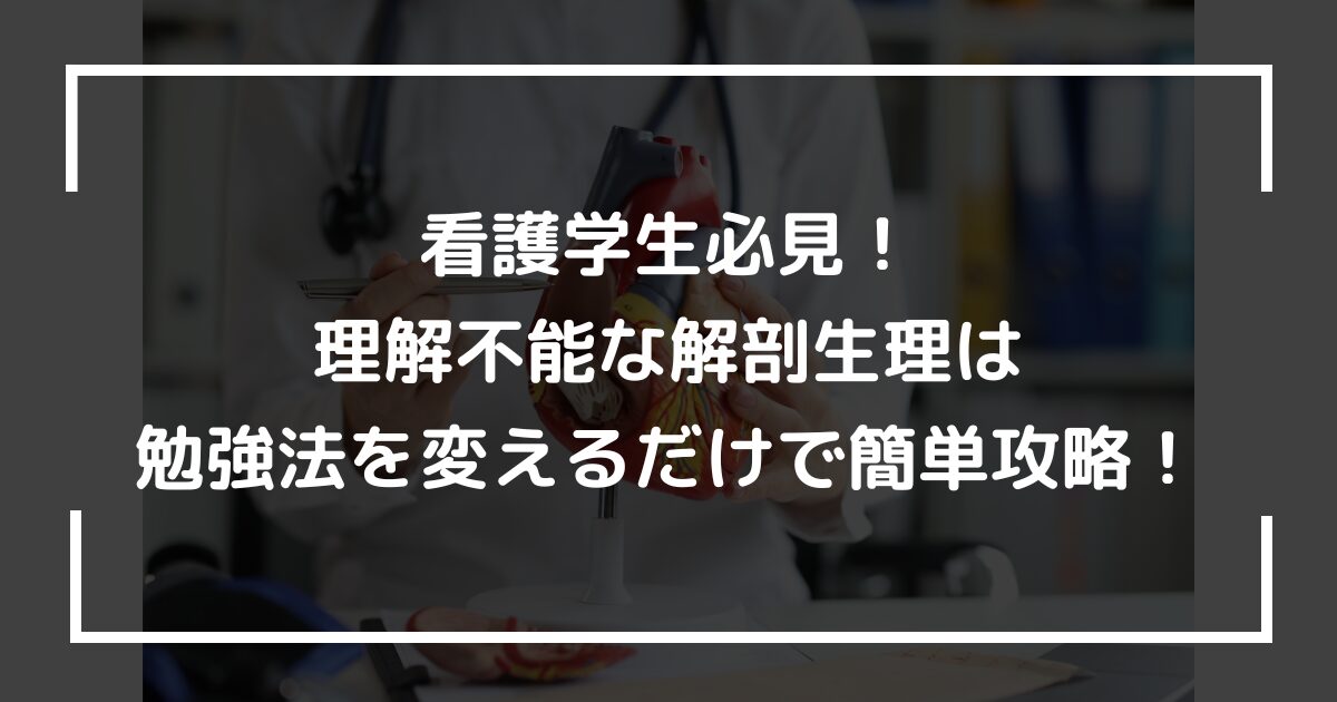 看護学生必見！理解不能な解剖生理は勉強法を変えるだけで簡単攻略！