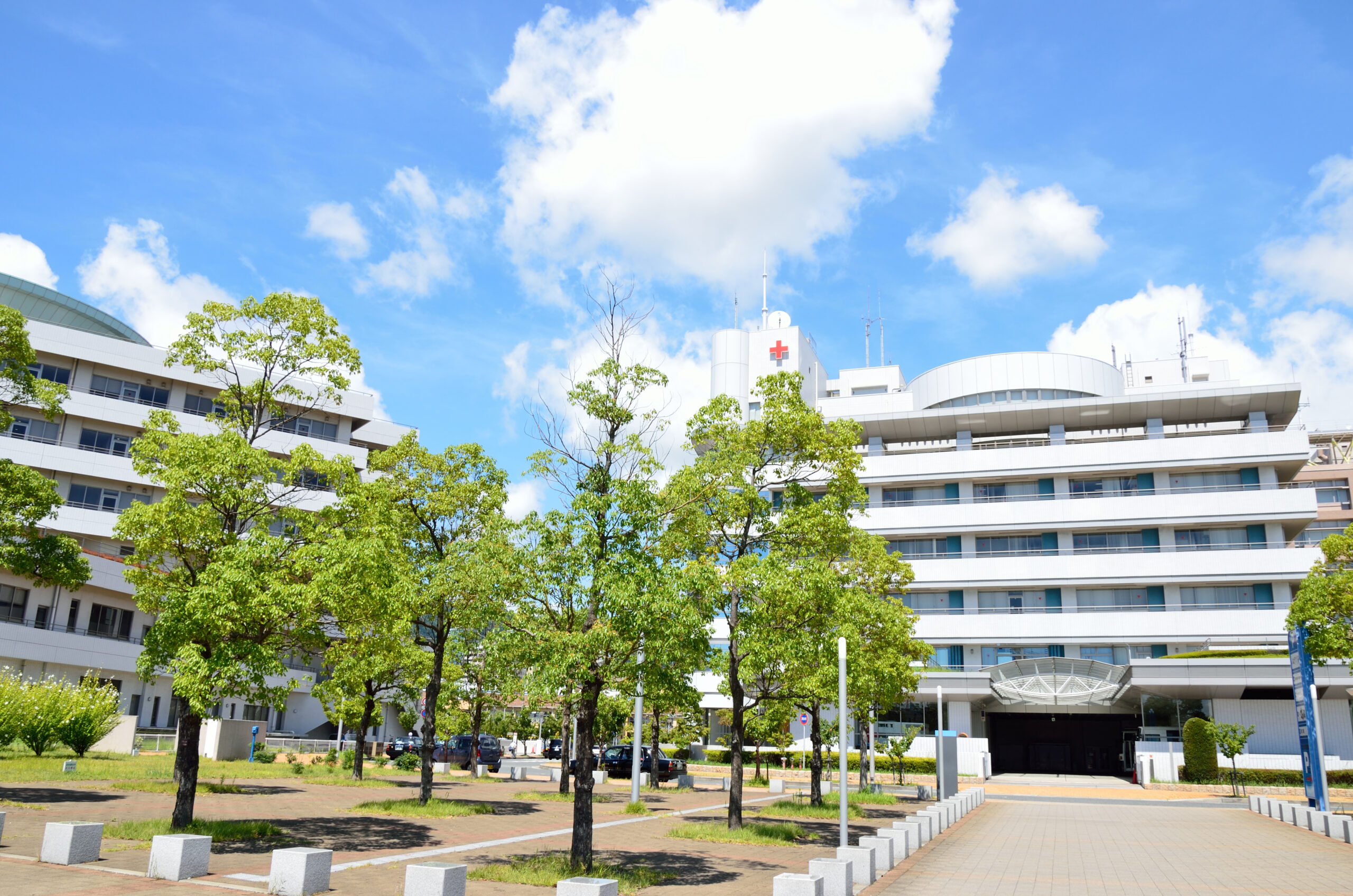 理学療法士の主な就職先