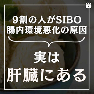 腸内環境悪化の原因実は肝臓にある
